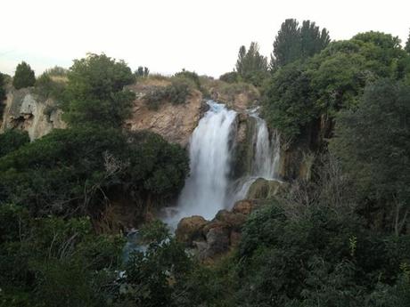 Ejemplo de bosques del mundo: Ruidera, Ciudad Real, España