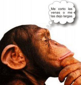 Reflexiones: Cuando la Teoría de Darwin te asfixia Difícil decisión ¬¬