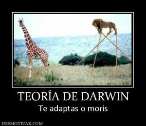 Reflexiones: Cuando la Teoría de Darwin te asfixia ¡¡¿¿Y si no me adapto??!!!