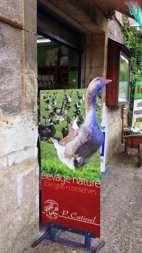 Lo mejor de un viaje: Sus fotos y recuerdos. Lo mejor de un viaje: Sus fotos y recuerdos.