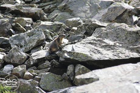 WeDeco… siente el verano escandinavo-wedeco-vive-el-verano-02