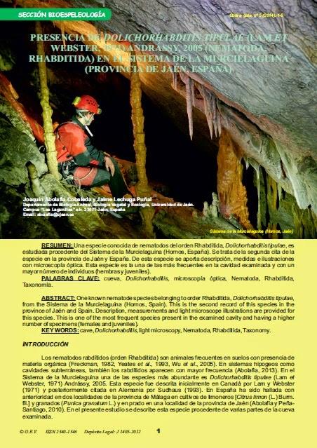 Estudios de nematodos en cuevas de Jaén