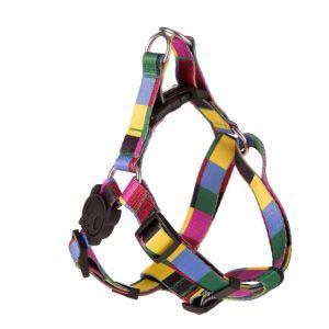 Arnés Zee Dog Colorbless para perros en Zooplus