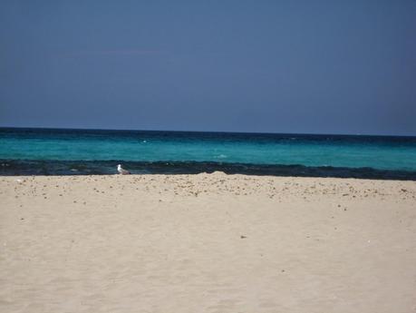 EL CARIBE BALEAR! EL CARIBE BALEAR!