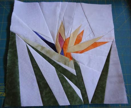 Sal Flores Sal Flores