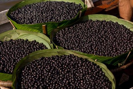 ¿Qué es el Açai y cuales son sus beneficios? acai_berry_BANNER