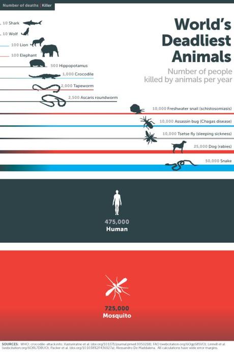 Warning : los animales más peligrosos. infografía