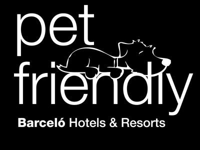 Veranear con tu perro, una gran experiencia. pet