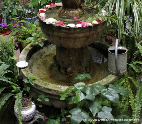 Aljibes y patios Aljibes y patios