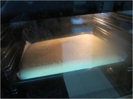 BRAZO GITANO RELLENO DE MERMELADA DE CEREZAS BRAZO GITANO RELLENO DE MERMELADA DE CEREZAS