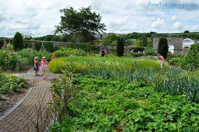 National Botanic Garden of Wales (I)