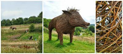 National Botanic Garden of Wales (I)