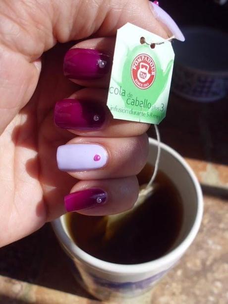 Infusiones Pompadour cola de caballo