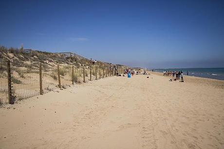 Guardamar del Segura - En guerra con las dunas Guardamar del Segura