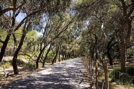Guardamar del Segura - En guerra con las dunas Guardamar del Segura
