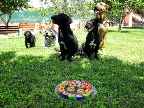 MUFFINS PARA PERROS MUFFINS PARA PERROS