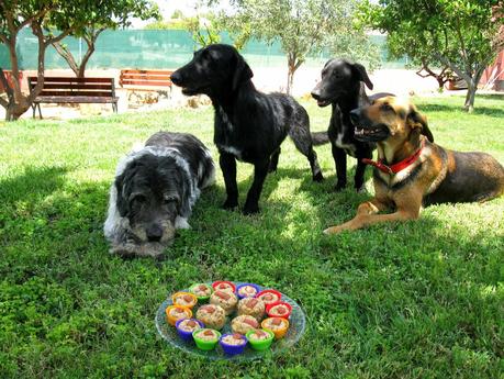 MUFFINS PARA PERROS MUFFINS PARA PERROS