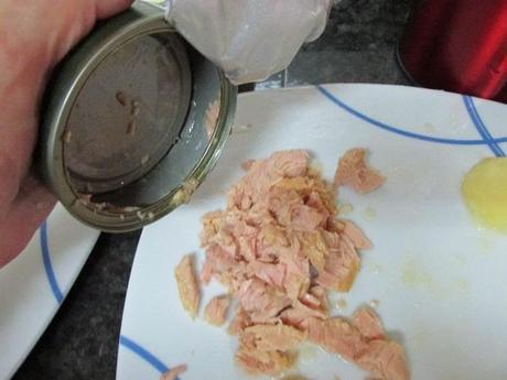 ENSALADA, CON SALMON, ATUN Y LANGOSTINOS ENSALADA, CON SALMON, ATUN Y LANGOSTINOS