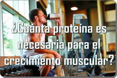 ¿Cuánta proteína es necesaria para el crecimiento muscular?