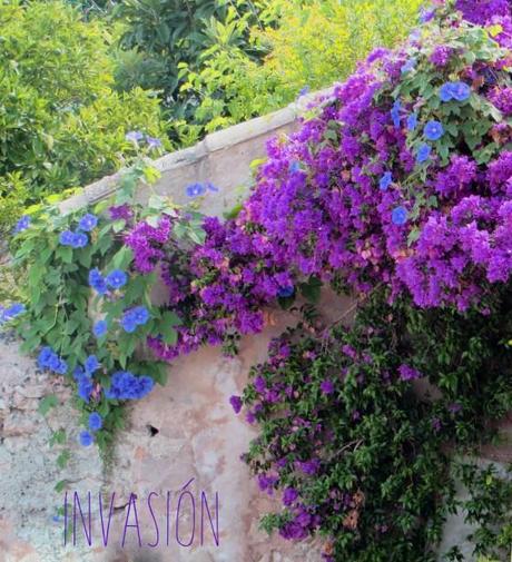 Fin de semana con Súper Luna. invasion