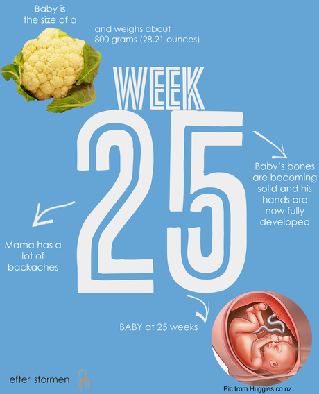 Semana 25 Embarazo | Week 25 Pregnancy