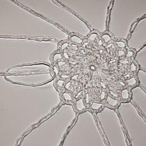 NEVER STOP DREAMING... NEVER STOP DREAMING...