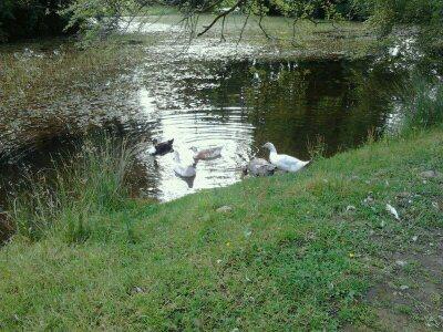 WWOOFING: una manera alternativa de viajar. Alrededores de la casa