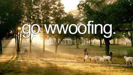 WWOOFING: una manera alternativa de viajar. go wwoofing