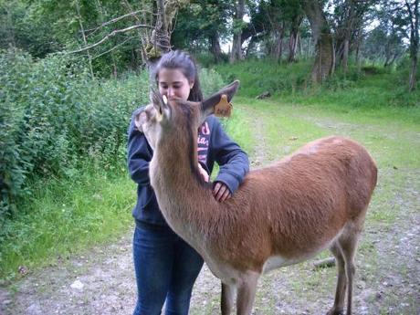 WWOOFING: una manera alternativa de viajar. El ciervo Dry