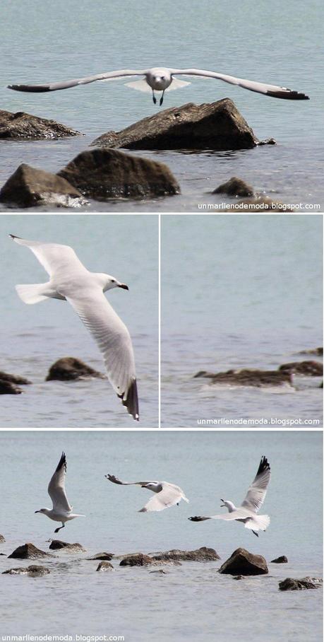 Los Alcázares, unmarllenodemoda Los Alcázares, unmarllenodemoda