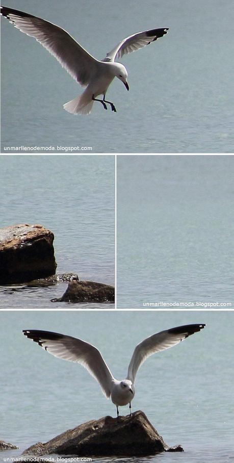 Los Alcázares, unmarllenodemoda Los Alcázares, unmarllenodemoda