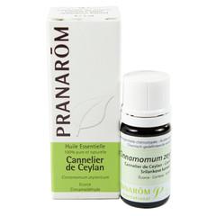 Remedio natural exprés para tratar la libido Remedio natural exprés para tratar la libido