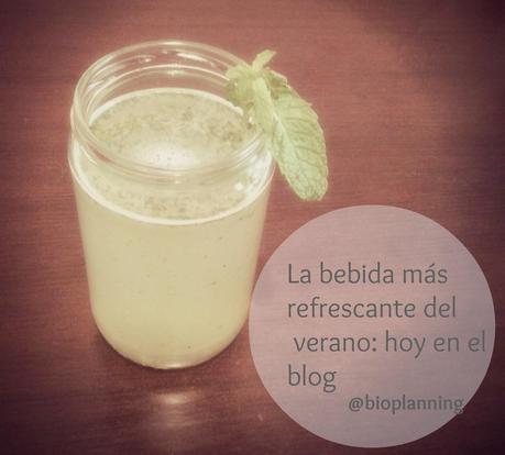 El refresco Bioplanning del verano El refresco Bioplanning del verano