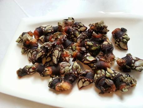 O´Grove = marisco O´Grove = marisco