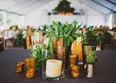 Decora tu boda con plantas Decora tu boda con plantas