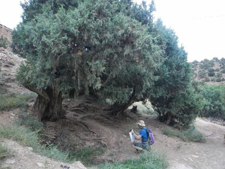 Iskattafene. Aldeas del Valle Aït Bouguemez. Marruecos Iskattafene. Aldeas del Valle Aït Bouguemez. Marruecos