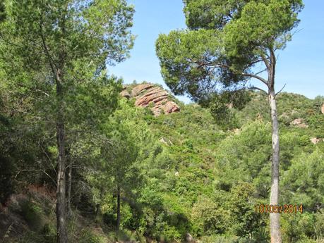 La Sentiu - Bruguers - Begues - Sant Climent - Gavá.  10/05/2014