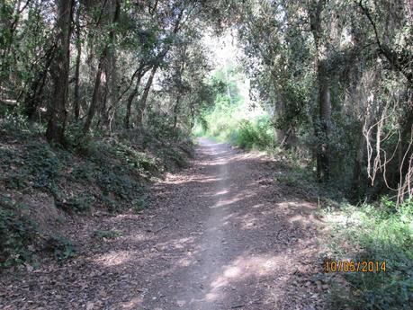 La Sentiu - Bruguers - Begues - Sant Climent - Gavá. 10/05/2014 La Sentiu - Bruguers - Begues - Sant Climent - Gavá. 10/05/2014