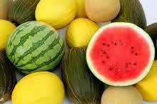 melon12 Dieta con frutas de verano, sabor, vitaminas y antioxidantes