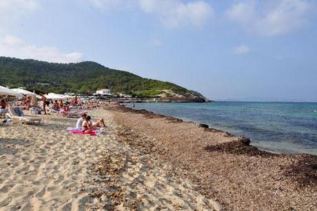 IBIZA AMBIENTE LIBERAL ibiza ambiente liberal: