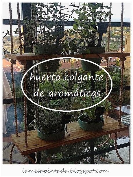 Huerto colgante de aromáticas