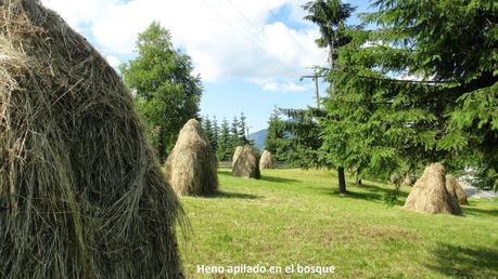 RUMANÍA, CENICIENTA Y PRINCESA (I)EL PAÍS, PAISAJE Y PAIS...