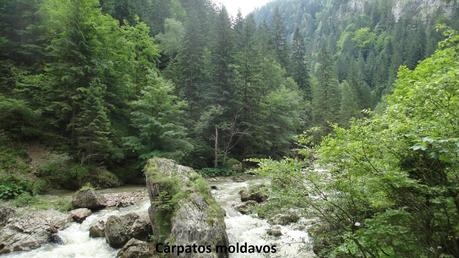 RUMANÍA, CENICIENTA Y PRINCESA (I)EL PAÍS, PAISAJE Y PAIS...