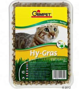 Hierba para gatos Gimpet Hy-Hierba 150 g en Zooplus