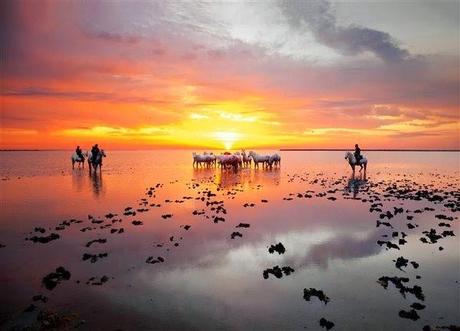 Mi verano en La Provenza y Costa Azul.