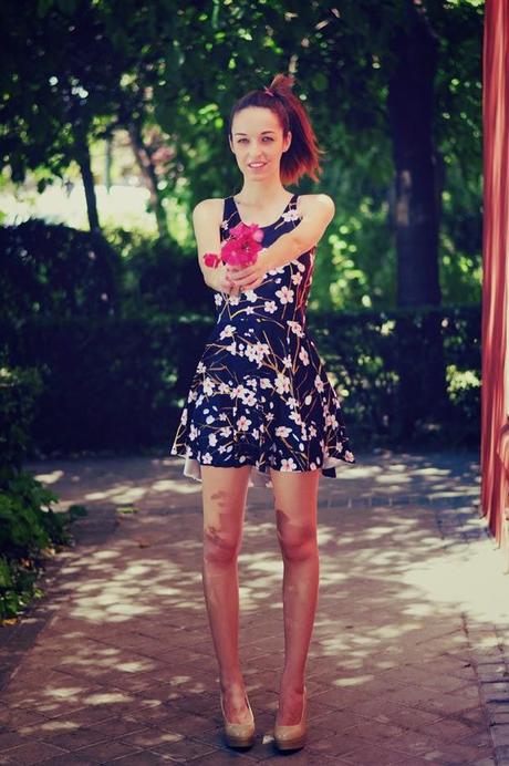 FLORES FLORES FLORES FLORES FLORES FLORES