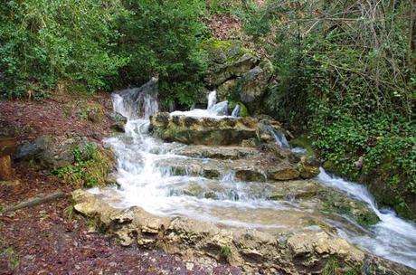 fuente-agua-sola-de-cambras