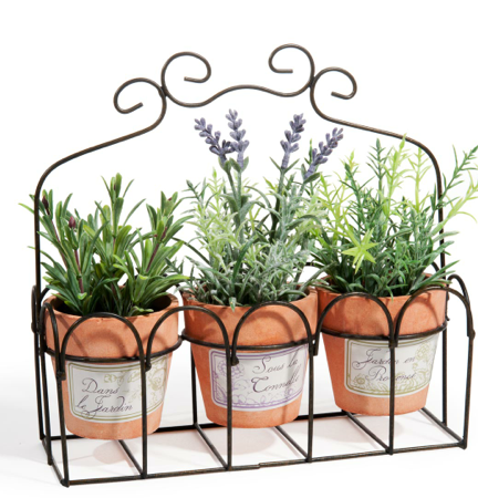 Un poco de color para alegrar las terracitas !!! Un poco de color para alegrar las terracitas !!!