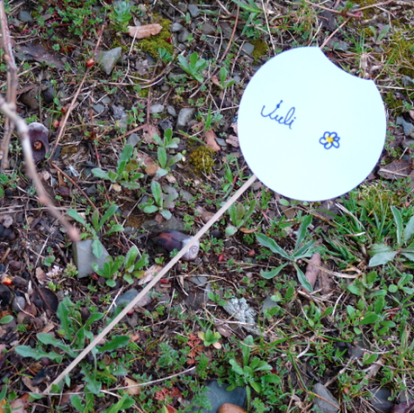 La búsqueda del tesoro... La búsqueda del tesoro...