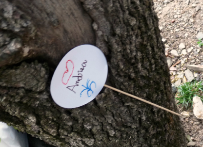 La búsqueda del tesoro... La búsqueda del tesoro...